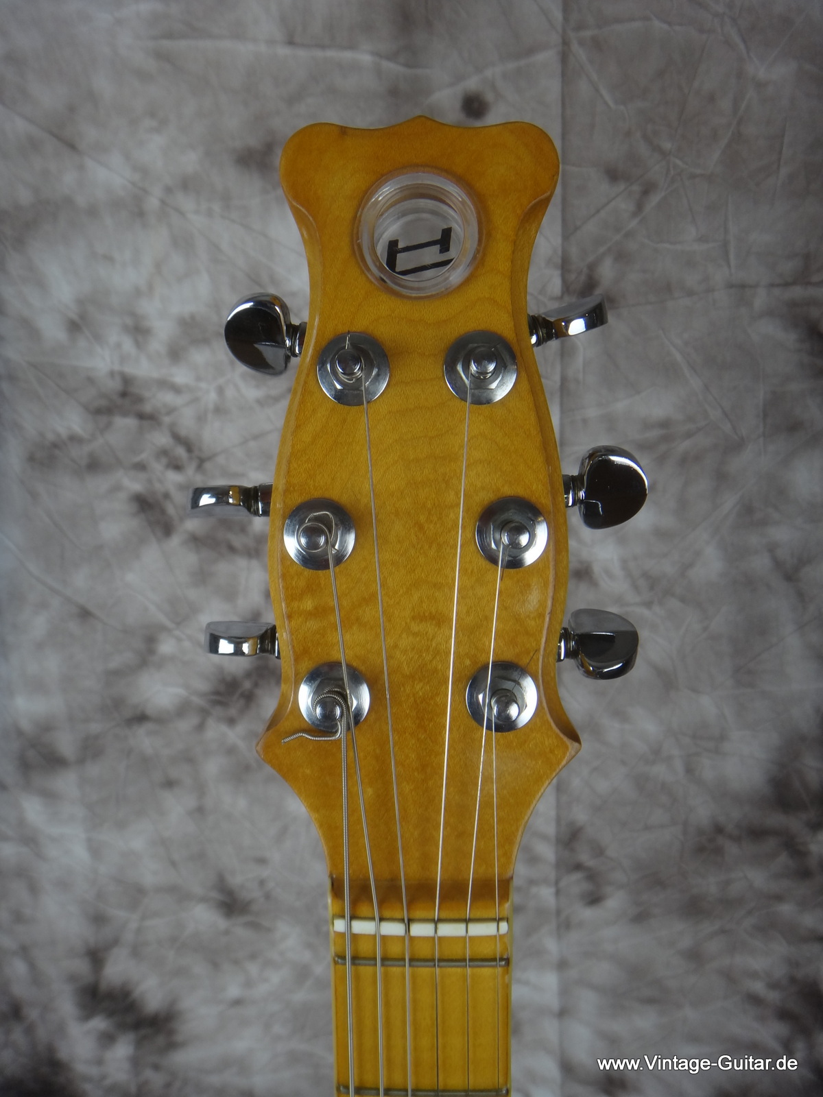 1973 Hayman 2020 guitar