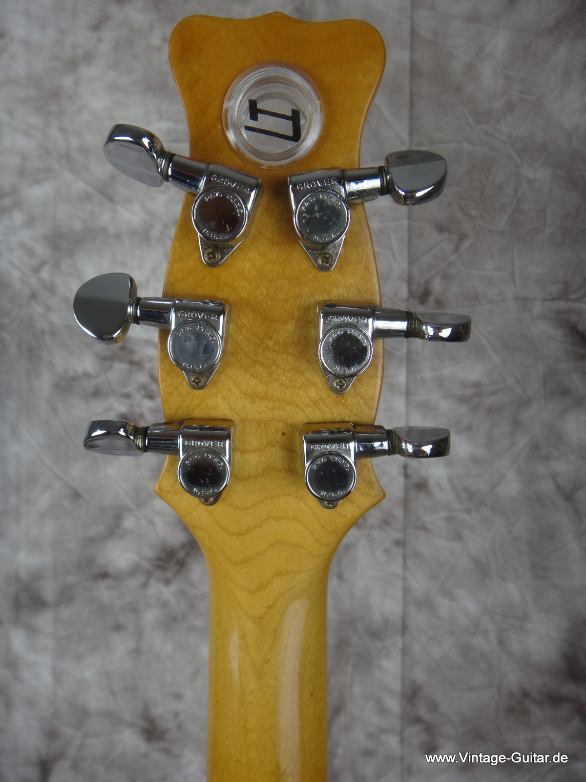 1973 Hayman 2020 guitar