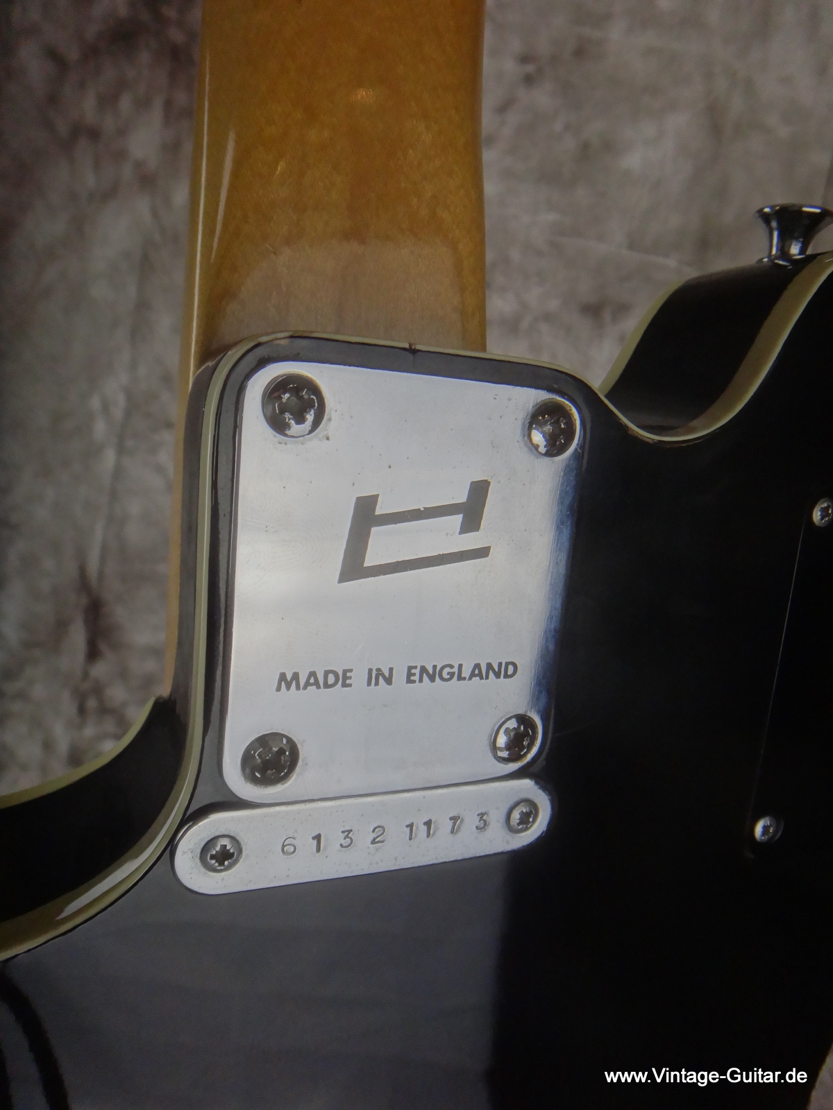 1973 Hayman 2020 guitar