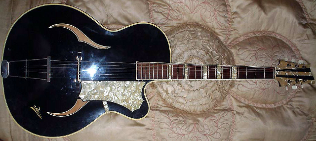 Isana Archtop Guitar