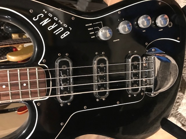 1962 Burns Bison Bass