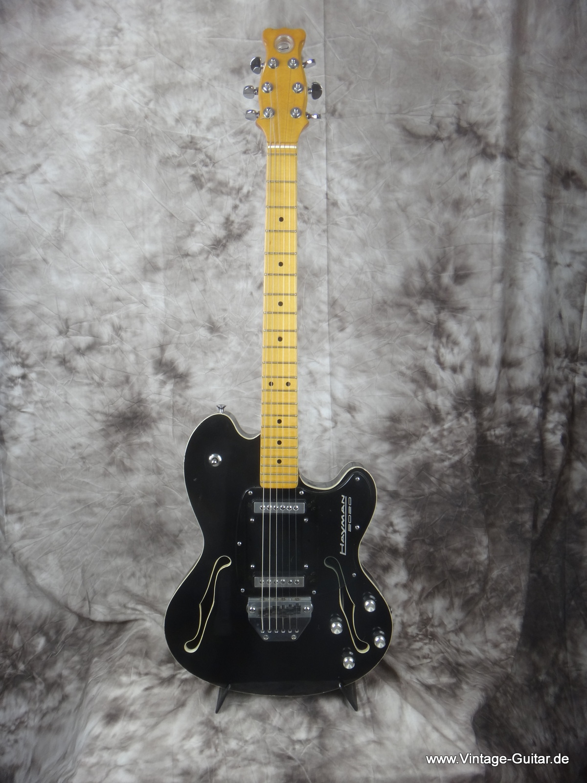 1973 Hayman 2020 guitar