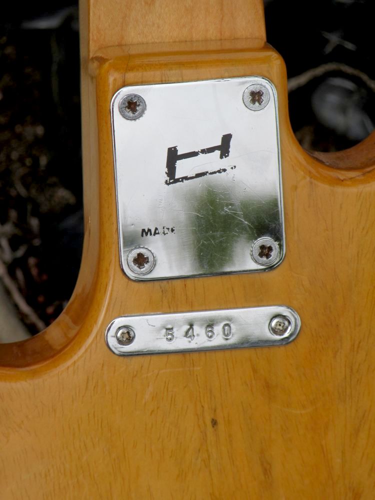 Hayman 4040 Bass