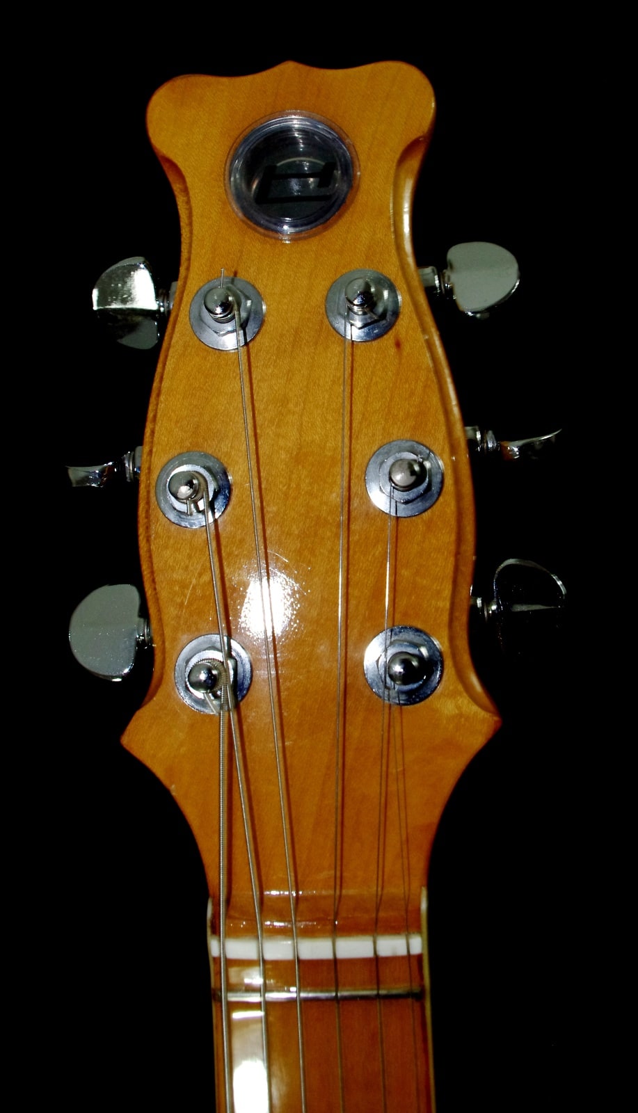 1974 Hayman 2020 guitar
