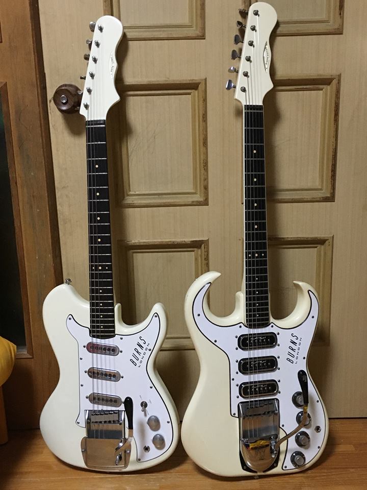 Albino Burns Guitars